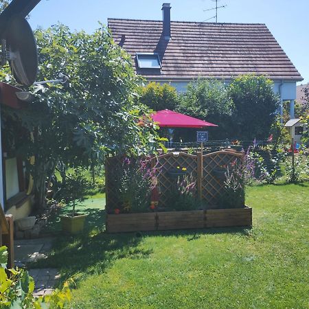 Gite Alsace Appenwihr ภายนอก รูปภาพ