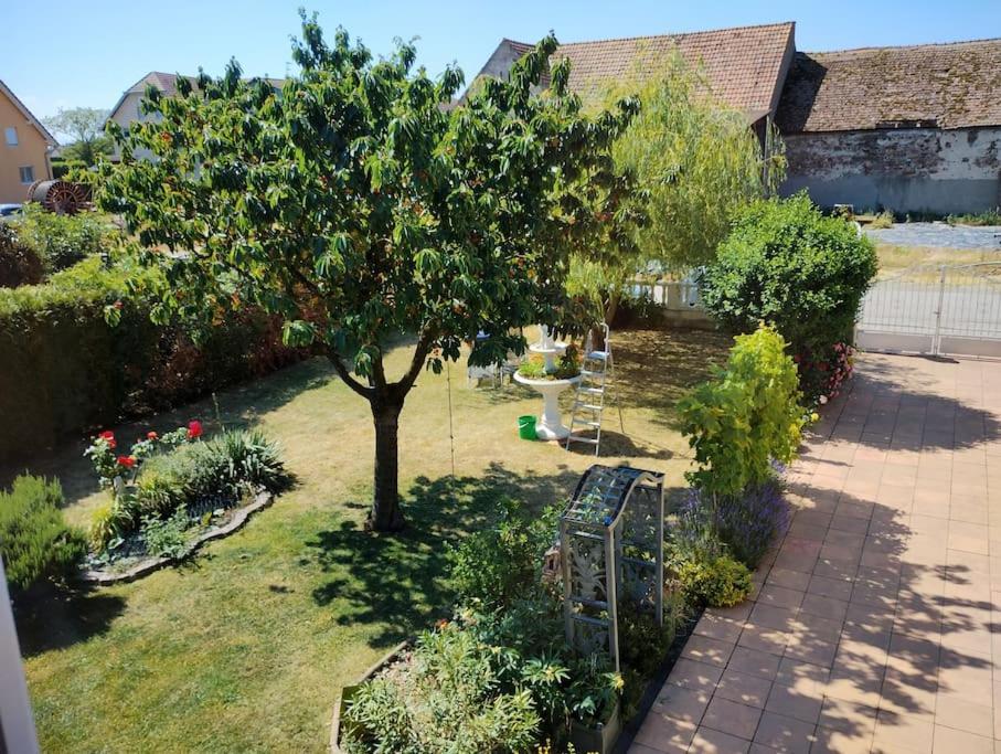 Gite Alsace Appenwihr ภายนอก รูปภาพ