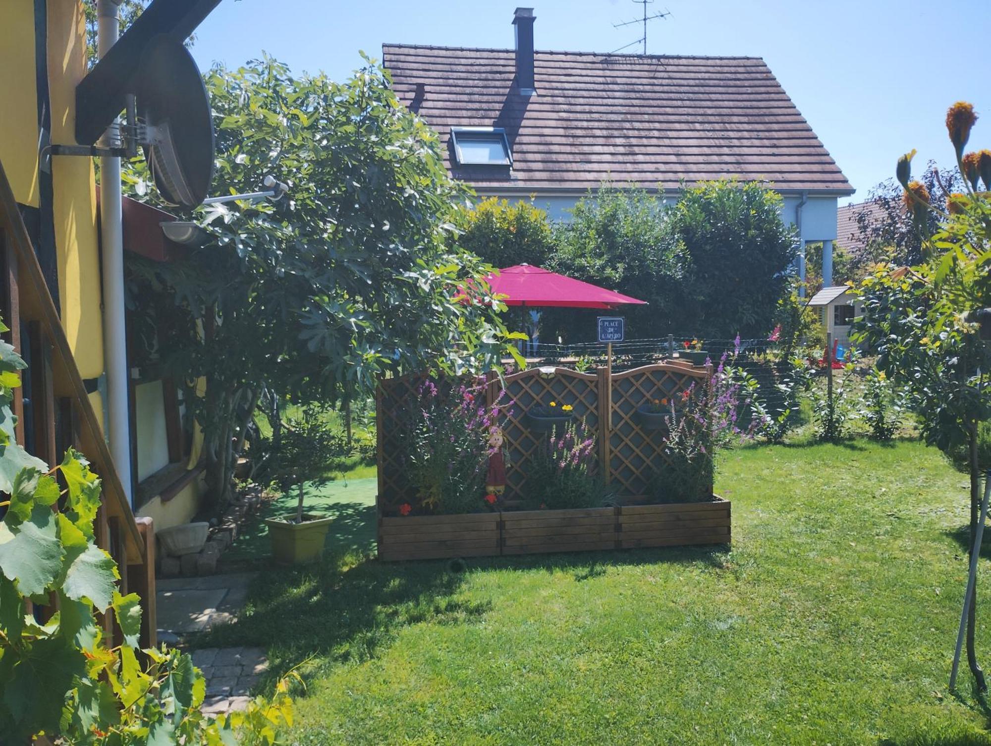 Gite Alsace Appenwihr ภายนอก รูปภาพ
